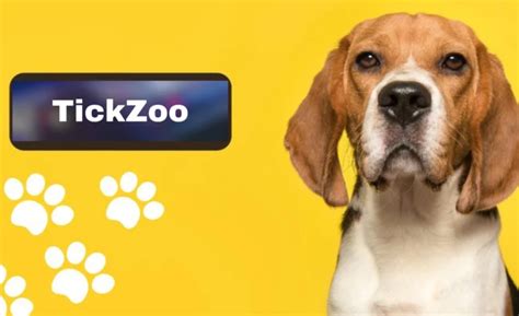 Tickzoo: A Deep Dive into its History, Controversy, Competitors, and.